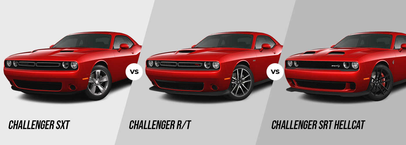 Champion srt shop