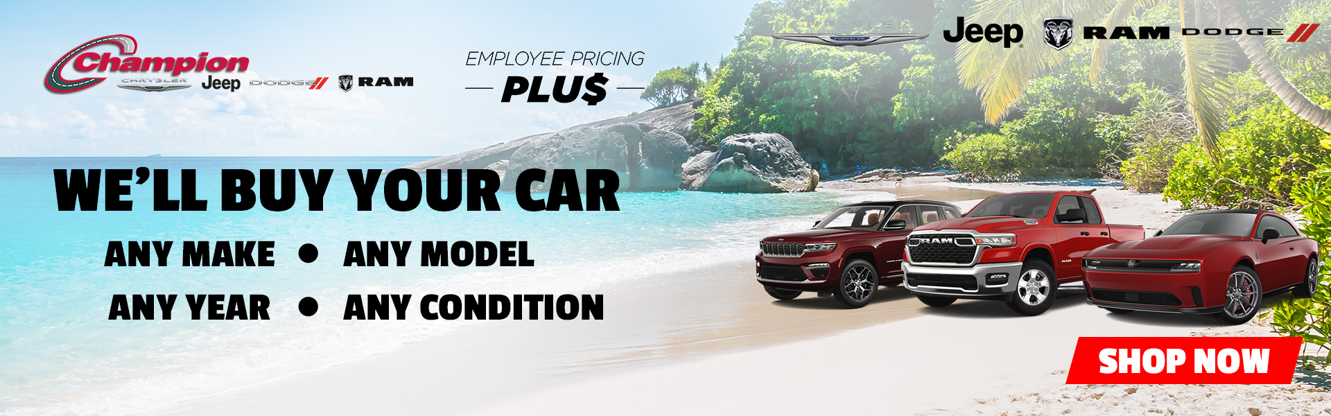 We'll Buy Your Car | Any Make, Any Model, Any Year, Any Condition
